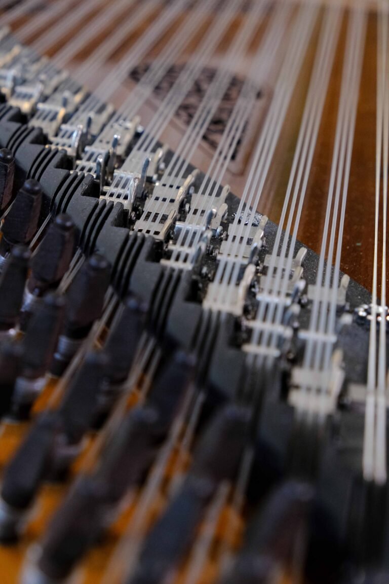 Qanun instrument close up